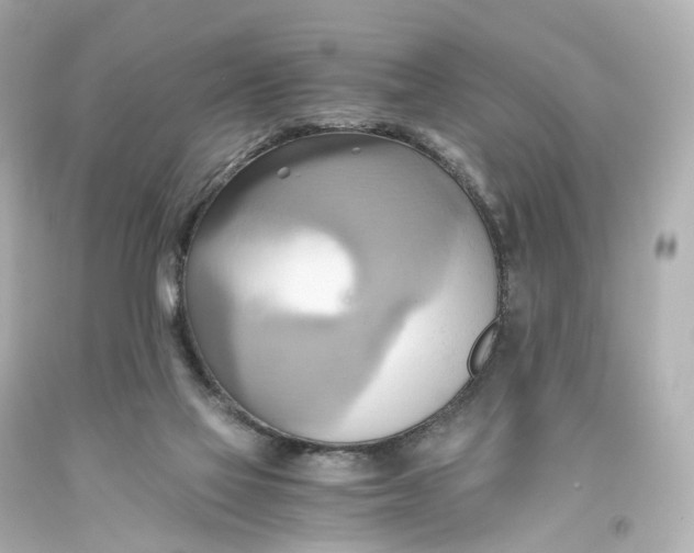 X0000093610069200711051227
