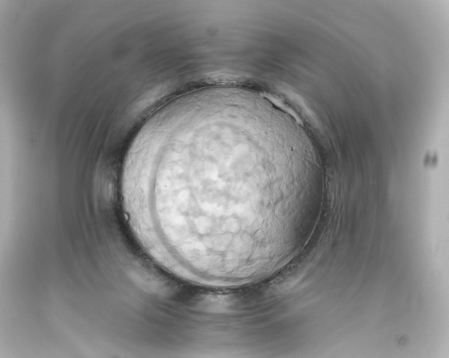 X0000093610071200711051227