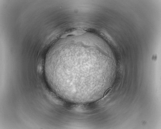 X0000093610074200711051228