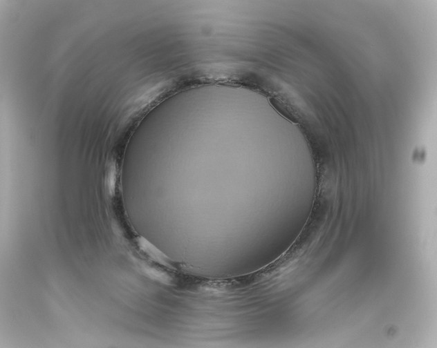 X0000093610076200711051228