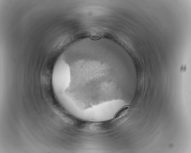 X0000093610078200711051228