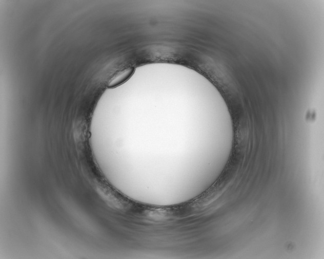 X0000093610079200711051228