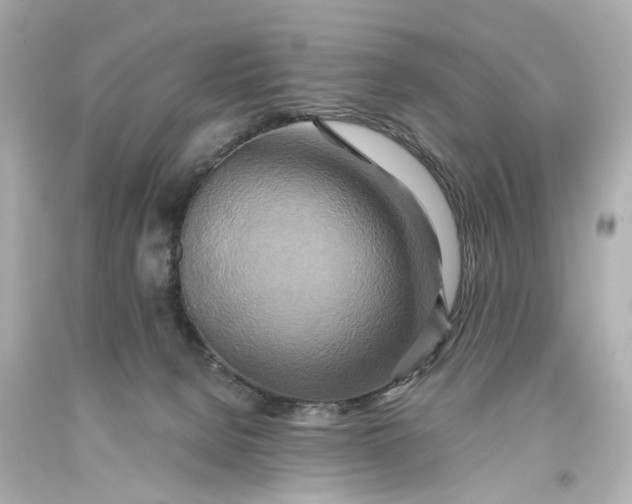 X0000093610080200711051228