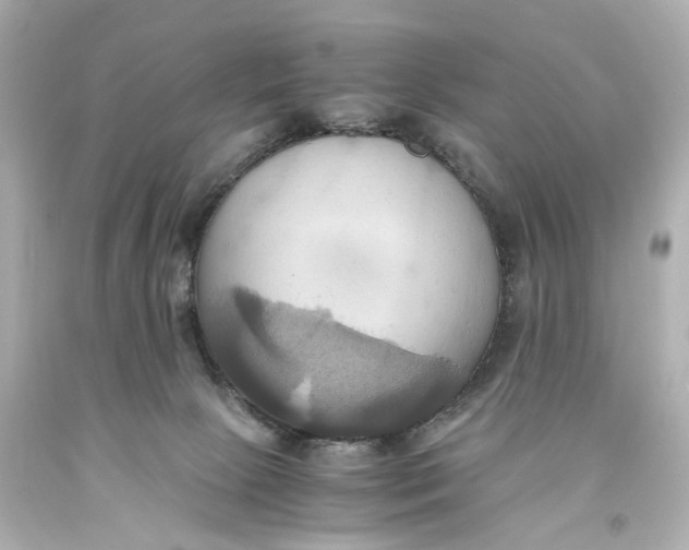 X0000093610081200711051228