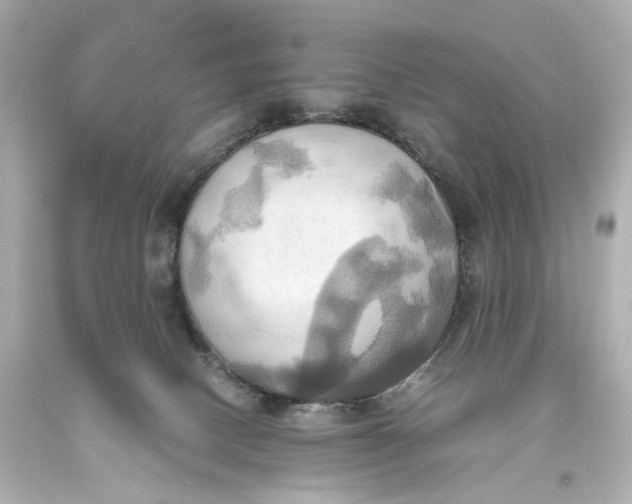 X0000093610082200711051228