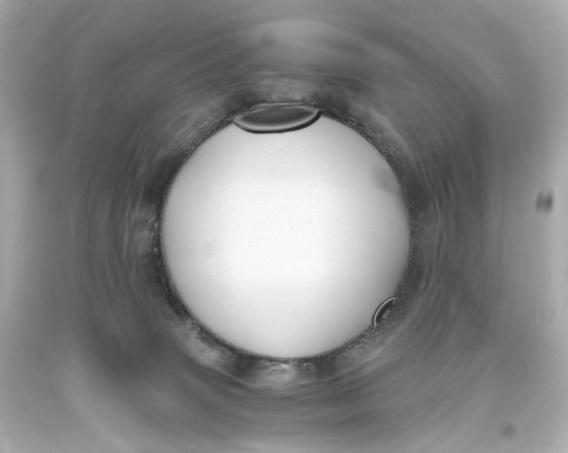 X0000093610083200711051228