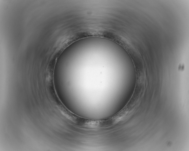 X0000093610084200711051228