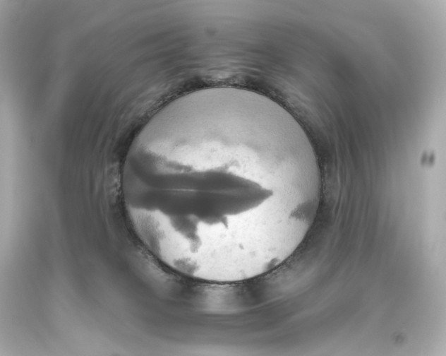 X0000093610085200711051228