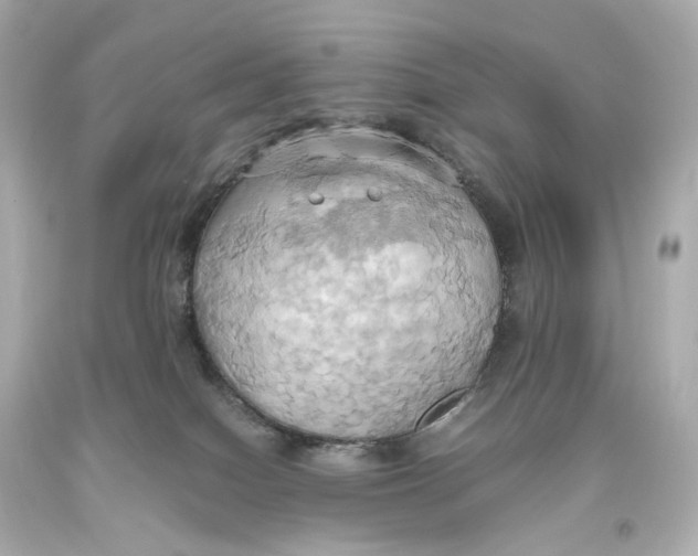 X0000093610086200711051228