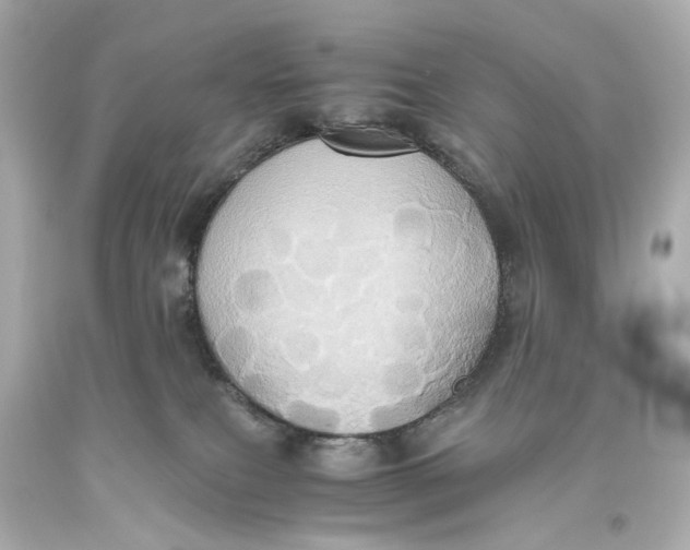 X0000093610087200711051228