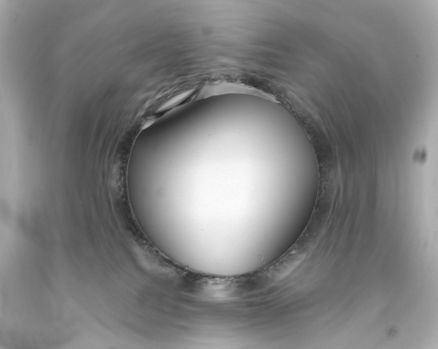X0000093610088200711051228