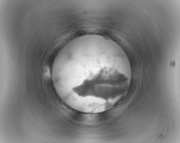 X0000093610089200711051228