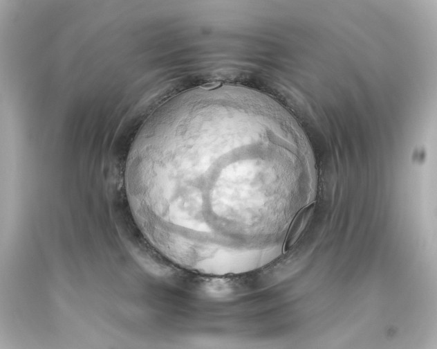 X0000093610091200711051228
