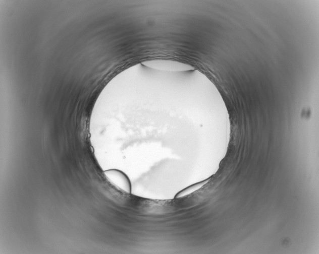 X0000093610093200711051228