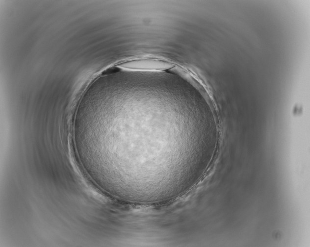 X0000093610097200711051227