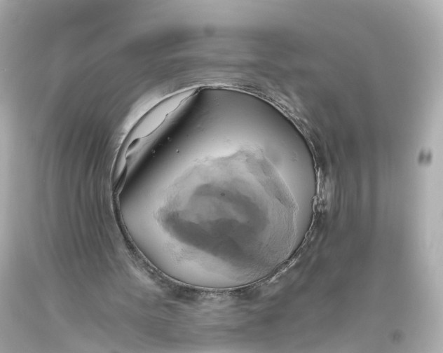 X0000093610099200711051227