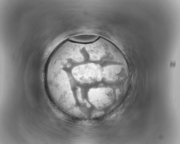 X0000093610103200711051227