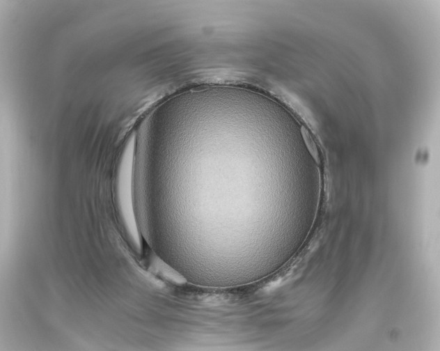X0000093610105200711051227