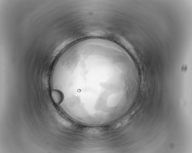 X0000093610106200711051227