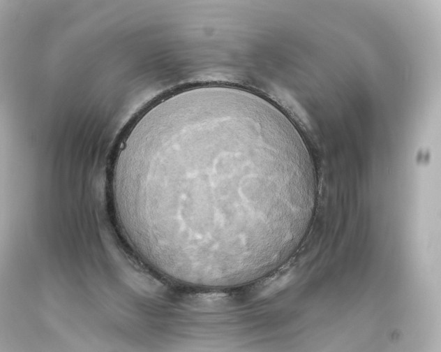 X0000093610108200711051227