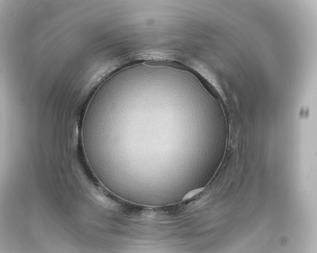 X0000093610109200711051227