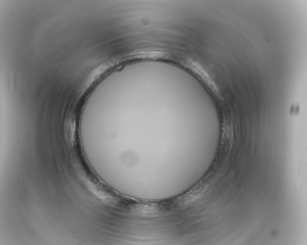 X0000093610110200711051227