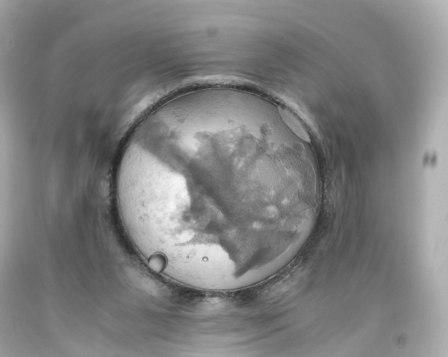 X0000093610111200711051227