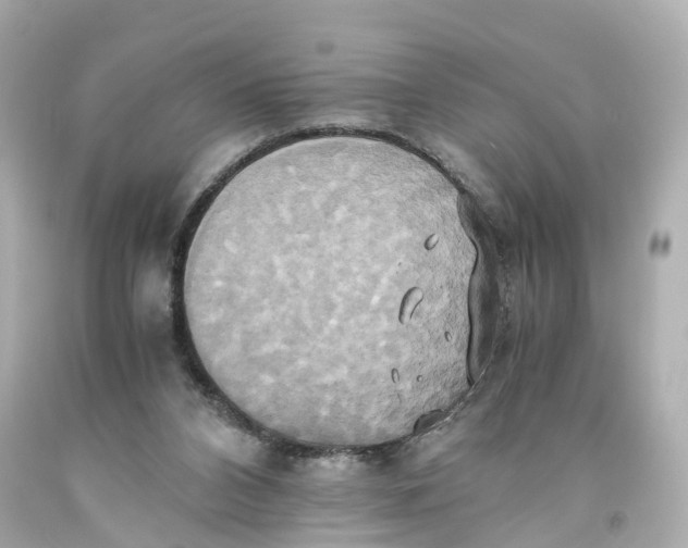 X0000093610112200711051227