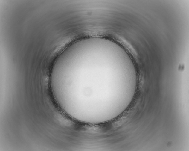 X0000093610113200711051227
