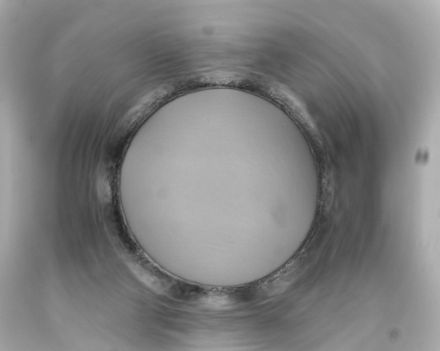X0000093610114200711051227