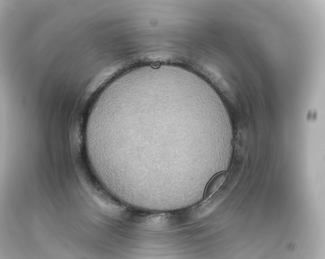 X0000093610116200711051227