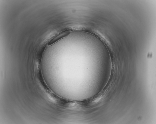 X0000093610117200711051227