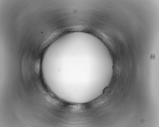 X0000093610118200711051227