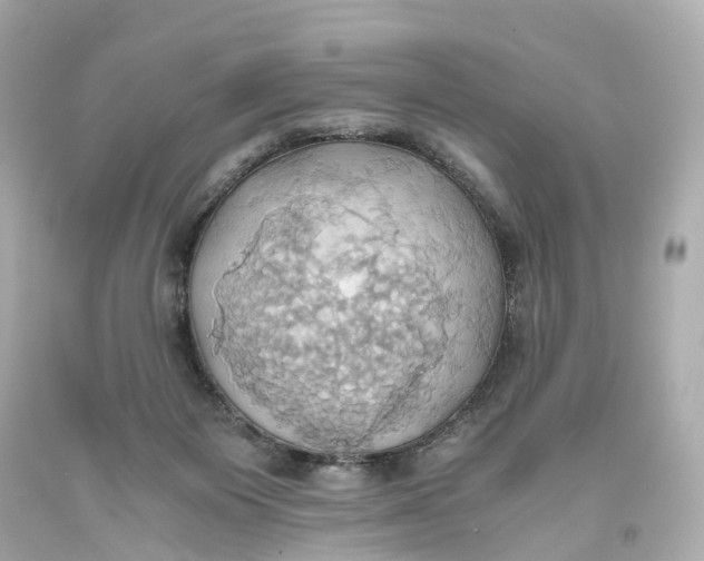 X0000093610119200711051227