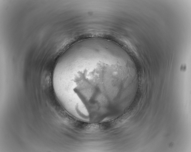X0000093610123200711051227