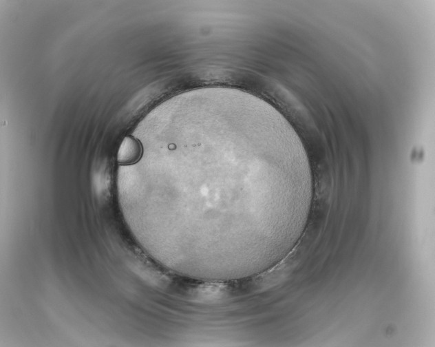 X0000093610124200711051227