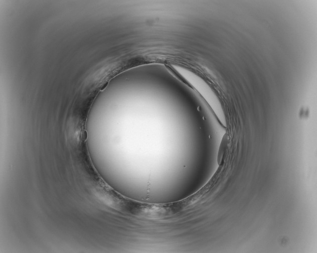 X0000093610125200711051227