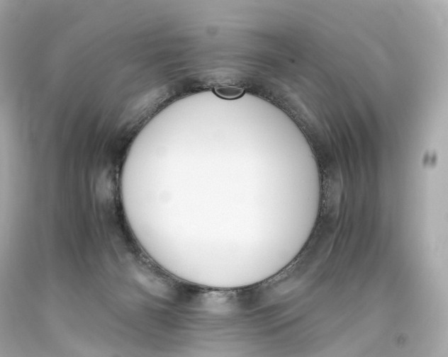 X0000093610126200711051227
