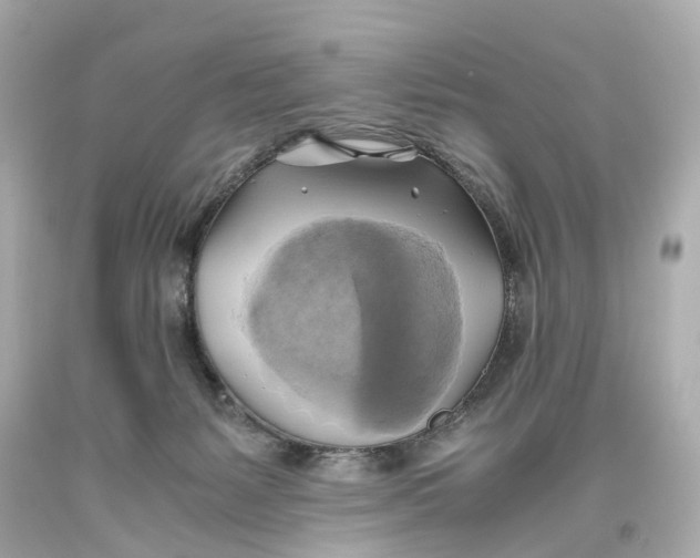 X0000093610127200711051227