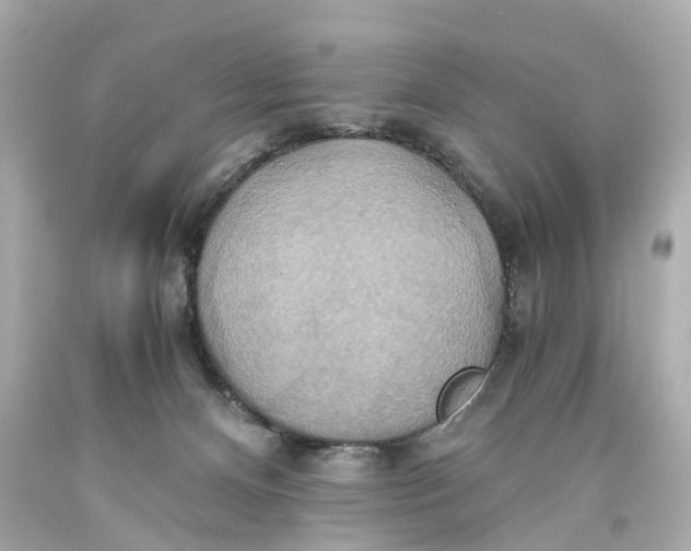 X0000093610128200711051227