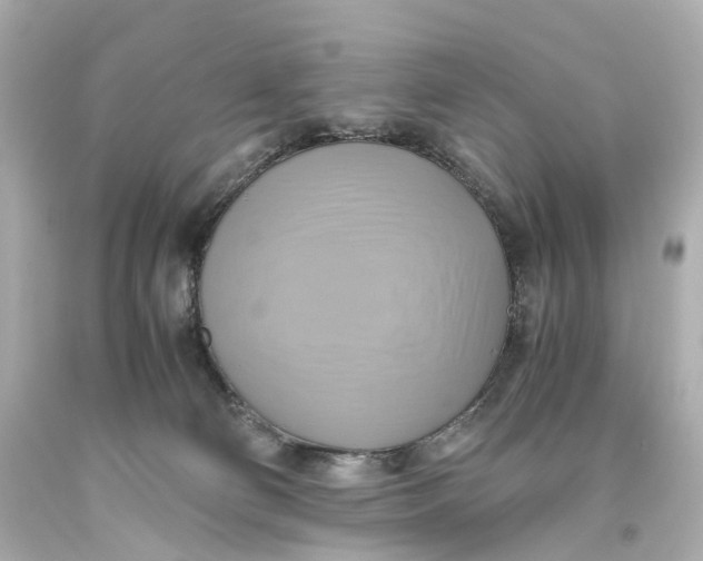 X0000093610130200711051227