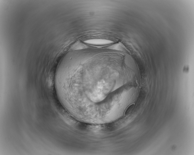 X0000093610131200711051227