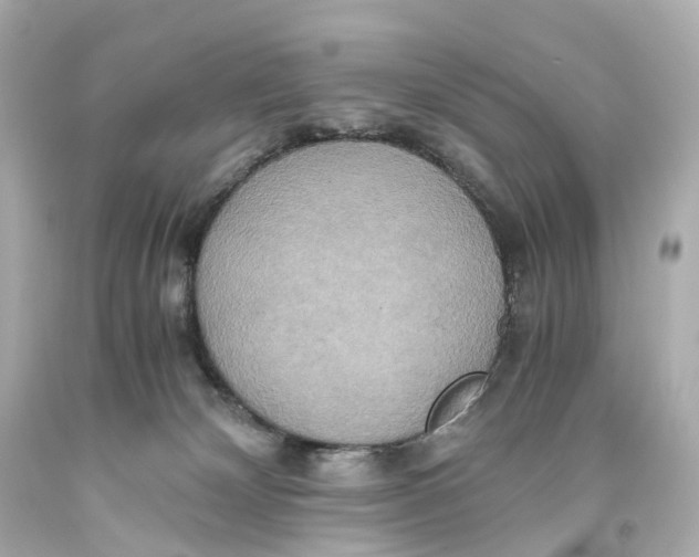 X0000093610132200711051227