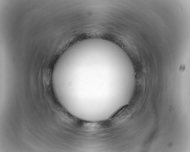 X0000093610133200711051227