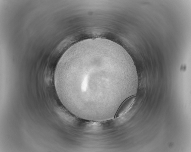X0000093610140200711051227