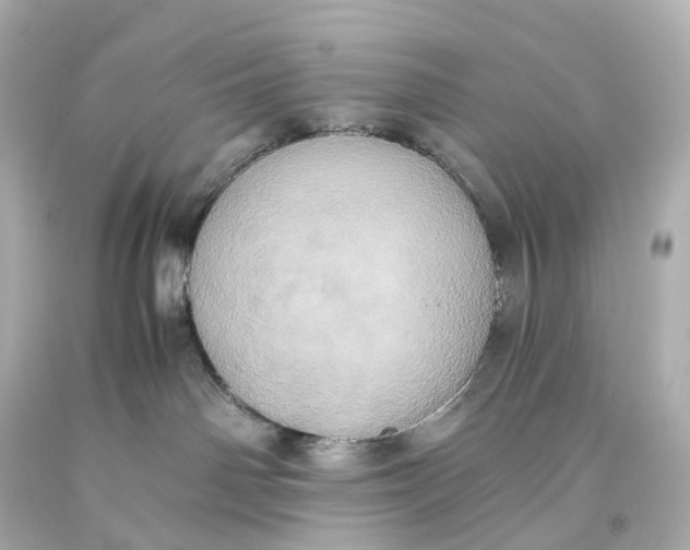 X0000093610142200711051227
