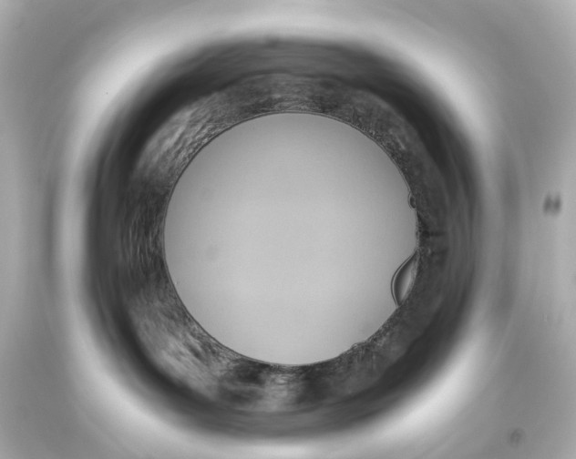X0000093610143200711051227