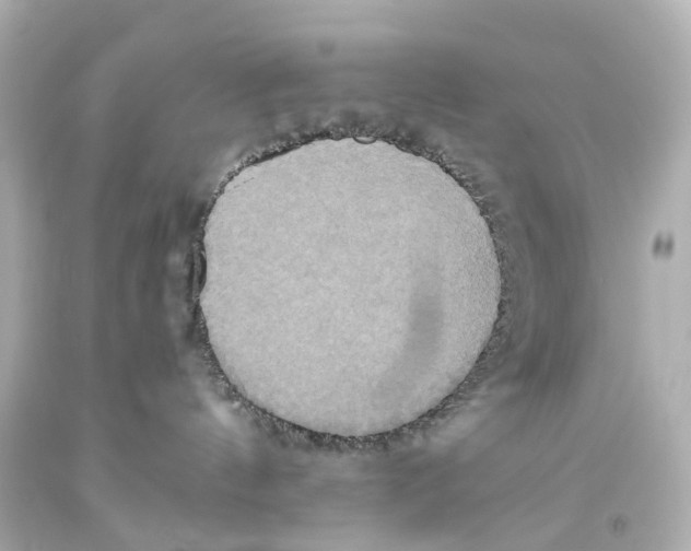 X0000093610144200711051227
