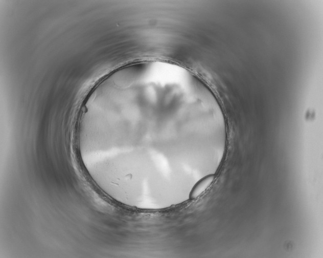 X0000093610145200711051226