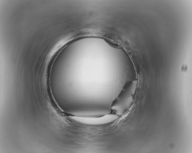 X0000093610150200711051226